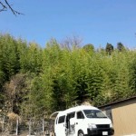 やっと春らしくなりましたね。