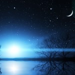 【ペット火葬／一任個別火葬（ご返骨）】